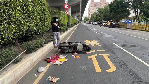 騎士嬤疑闖紅燈！遭撞噴飛博美犬受驚亂竄