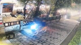 行車糾紛,單車,勝利星村,敲頭,鐵製便當盒