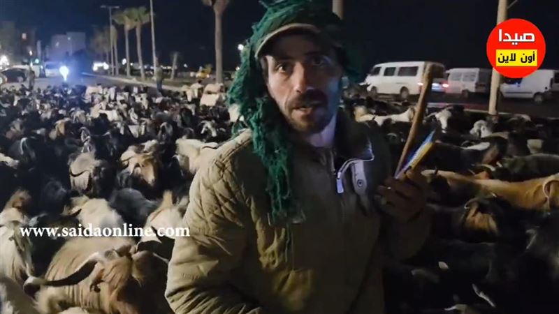 黎巴嫩牧羊人為了保護羊群、遠離以色列攻擊，預計從邊境徒步5天抵達目的地。（圖／翻攝畫面）