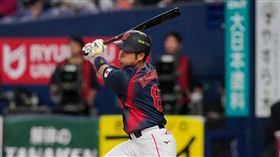 日本隊選手近藤健介。（圖／美聯社／達志影像）