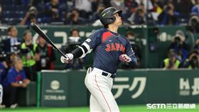 WBC日台戰，日本隊指定打擊大谷翔平炸裂滿貫砲。（圖／特派記者劉彥池攝影）