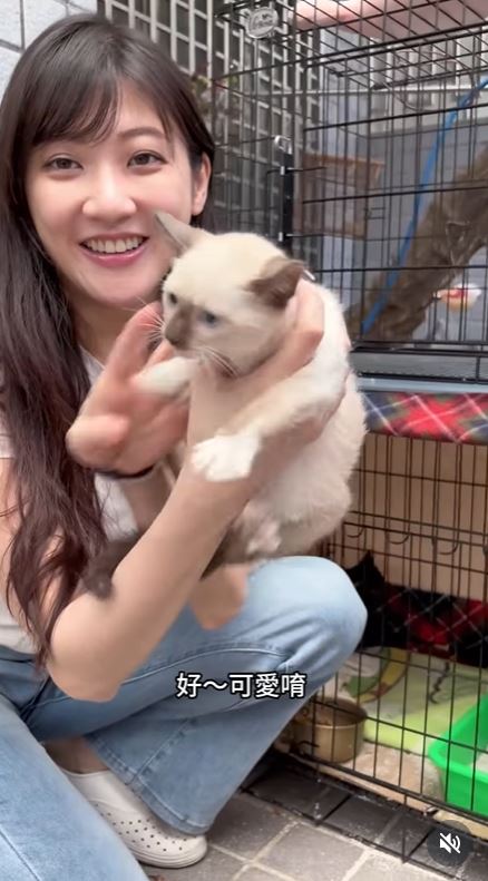 林逸欣過年期間回到台南老家時，意外發現3隻幼貓與貓媽媽。（圖／翻攝自IG @sharalinmusic）