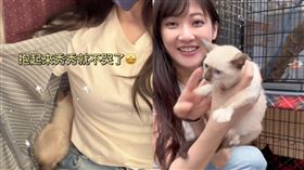 林逸欣帶小貓搭高鐵，因小貓不停哭叫，便將幼貓從外出籠抱出。（圖／翻攝自IG @sharalinmusic）