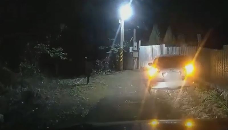 陳男駕車拒檢又衝撞警車，遭警方追緝到案送辦。（圖／翻攝畫面）