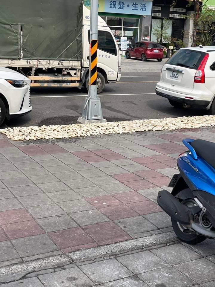 同個地點前幾天才被目擊曬過蘿蔔乾。（圖／翻攝自{仁武人}※大小事臉書）