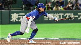 不管輸贏！老闆挺台灣隊發「200片雞排」