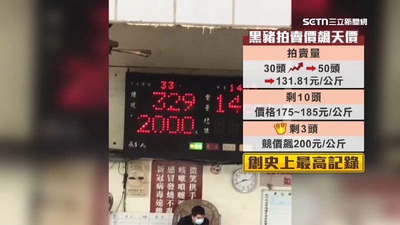 黑毛豬價格創下歷史紀錄，每公斤破200元