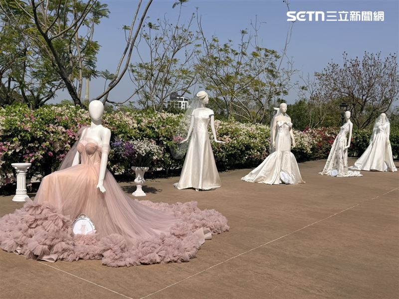 南台灣最美「沉浸式婚禮」，高訂婚紗品牌奇美博物館開秀。（圖／翻攝畫面）