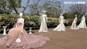朱莫,台南,婚禮,品牌,婚紗（圖／翻攝畫面）