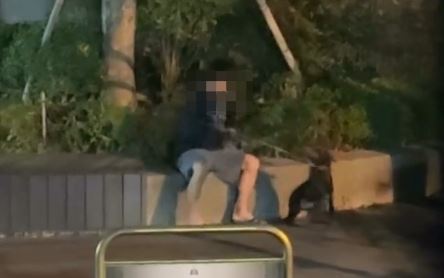 台中北屯區疑似發生虐狗案件，一名男子持棍棒虐打小黑狗。（圖／民眾提供）