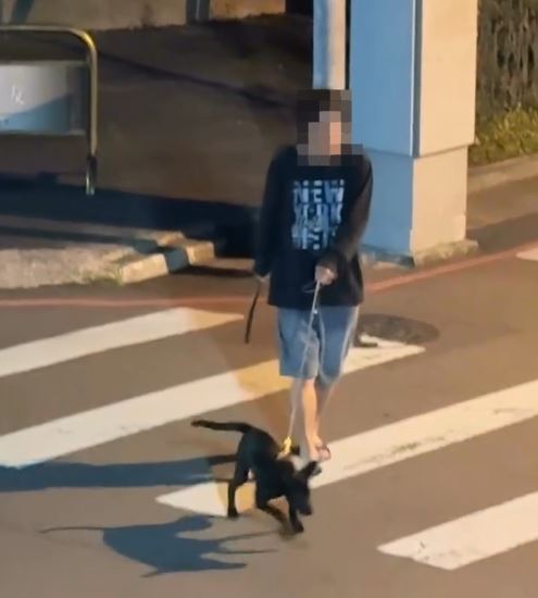 台中北屯區疑似發生虐狗案件，一名男子持棍棒虐打小黑狗。（圖／民眾提供）