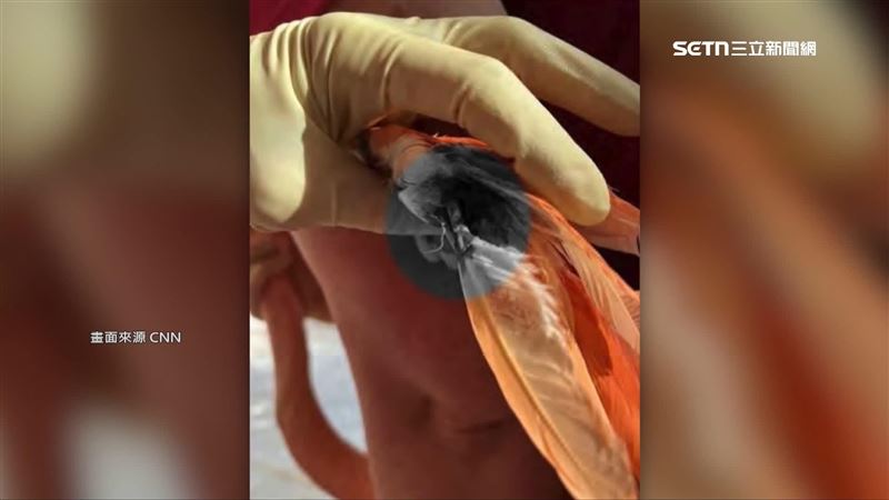 警方在男子的房間裡發現沾滿血的紅鶴翅膀