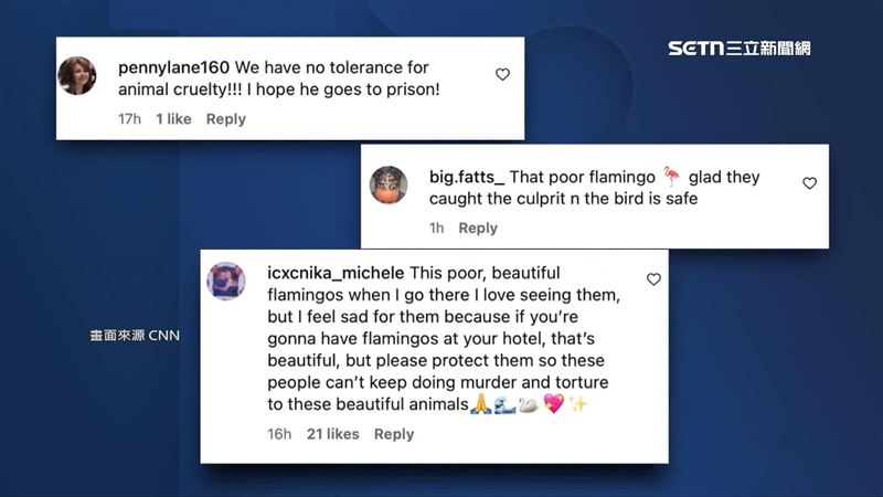 虐待動物消息引發網路齊聲撻伐