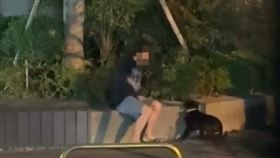 虐狗,虐打,小黑狗,台中,北屯（圖／民眾提供）