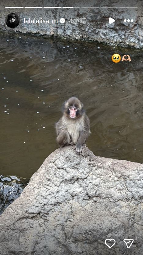 Lisa飛日本朝聖小猴Panchi！「高舉同款娃娃」全被拍　超萌示愛畫面曝光