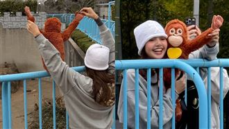 Lisa也朝聖小猴Panchi　超萌示愛畫面曝光