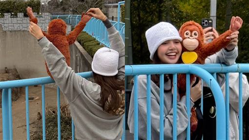 Lisa也朝聖小猴Panchi　超萌示愛畫面曝光