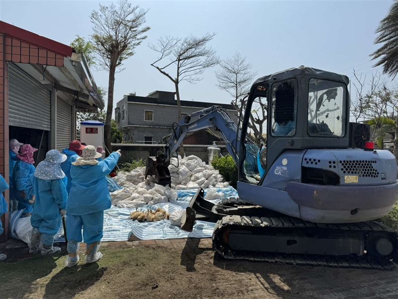雲林水林鄉養雞場爆發禽流感疫情，縣府緊急撲殺清場。（圖／雲林縣府提供）