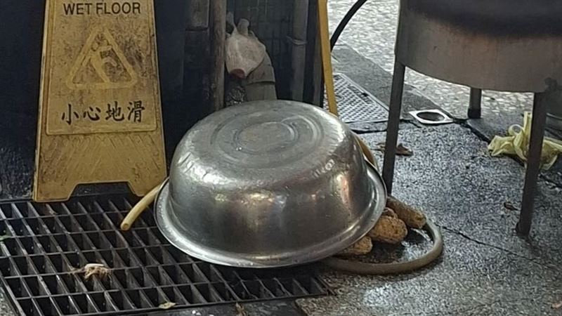 有網友親眼目睹，台中北屯這家烤玉米攤老闆娘蹲在人行道旁清洗烤過的玉米，洗完後更直接將食材堆放在「水溝蓋」上方。（圖／翻攝自爆料公社）