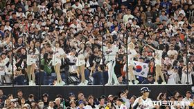 WBC台韓戰，韓國隊啦啦隊在三壘側帶領球迷應援。（圖／特派記者劉彥池攝影）