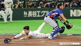 WBC台韓戰，韓國隊二壘手金慧成靠金倒永的二壘安打撲回追平分。（圖／特派記者劉彥池攝影）