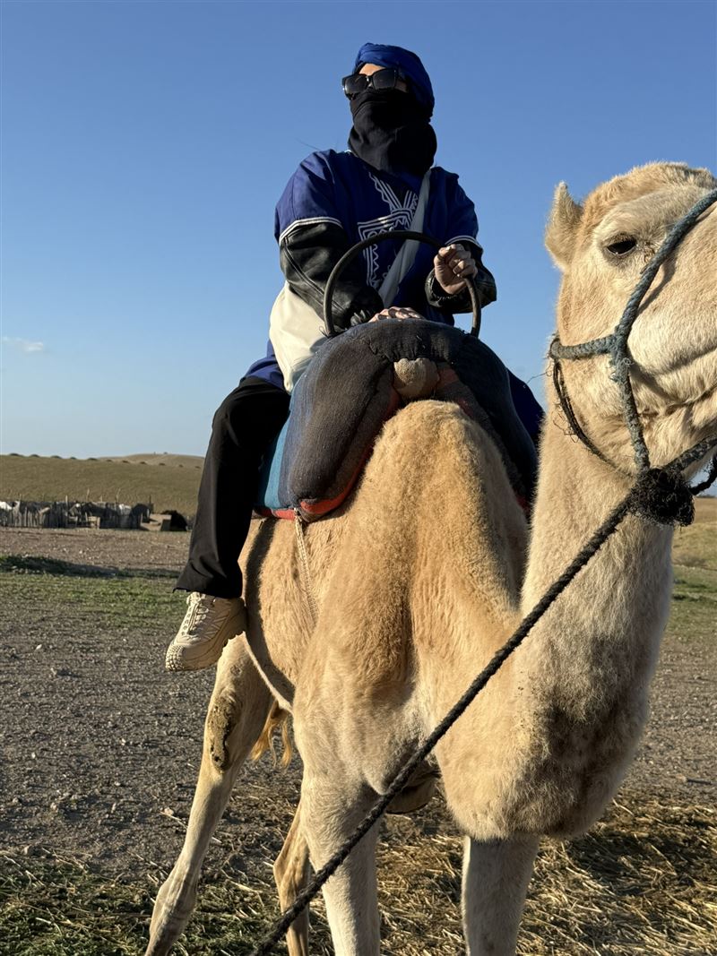 蔡健雅為自己安排了一趟非、歐放鬆之旅。（圖／躍耳娛樂提供）