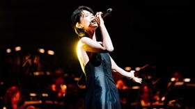 大玩樂家5-《陳志遠&簡文彬&曹雅雯 跨樂衛武營音樂會》。（圖／衛武營國家藝術文化中心提供）