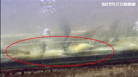 衛生局,鳳山區,水缸,泰國蝦,吃到飽,燒肉,高雄,初二,腸胃炎,腹瀉（圖／民眾提供）