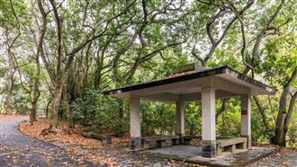 新／八卦山墜谷！男摔「40米深谷」慘死