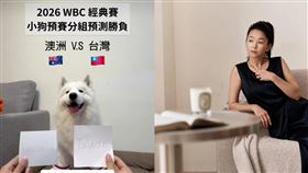 薩摩耶「萊芙」精準命中台灣賽事。（圖／翻攝自IG）