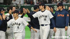 WBC日澳戰，日本隊4：3擊敗澳洲在預賽打出3連勝，大谷翔平賽後和隊友擊掌慶祝勝利。（圖／特派記者劉彥池攝影）