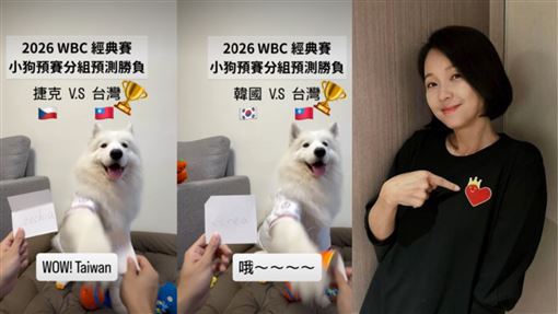 神犬預測4戰全命中　六月：包一年伙食費