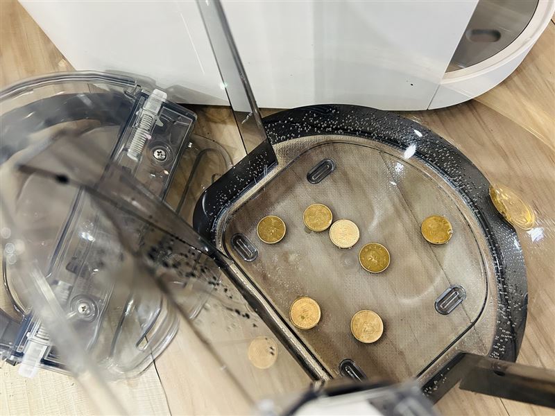 在水箱內放置幾枚一元硬幣，可降低細菌繁殖速度。（圖／486團購提供）