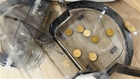 在水箱內放置幾枚一元硬幣，可降低細菌繁殖速度。（圖／486團購提供） 