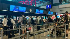 今年有4家旅行社被觀光署廢照，包括老字號的彩虹國際，圖為示意圖。（桃機公司提供）