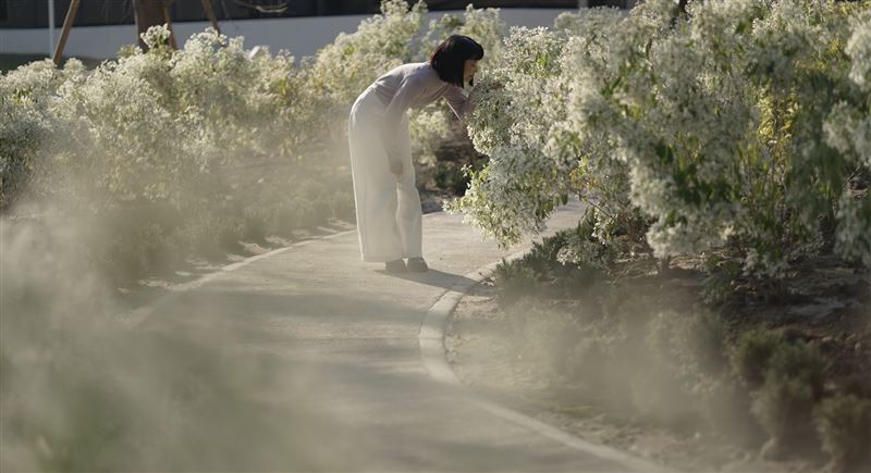 園區內的花園景觀設計導入台灣原生種植物，打造疏落有致的野性花園景觀。（圖／品牌業者提供）