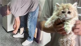 江姓男子將2隻波斯貓纏在腿部欲闖關搭機回台。（圖／翻攝畫面）