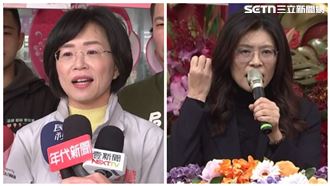 鄭麗文酸「擁鈔能力」蘇巧慧1段話回應了