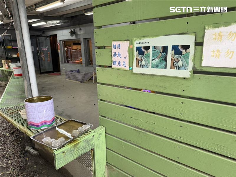 八里知名餐廳利用萌兔當噱頭，但卻未妥善照顧，導致大量兔隻病死。（圖／新北市動保處提供）