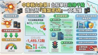 跌勢何時休？「護盤密碼」一文看懂