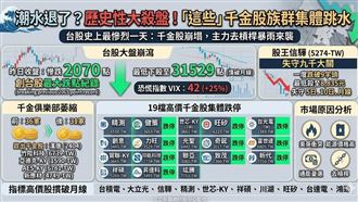 歷史性大殺盤！千金股族群集體跳水