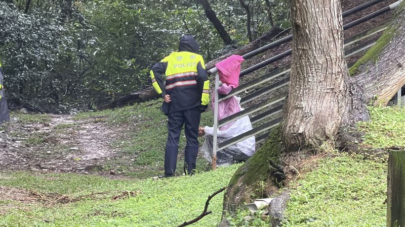 桃園女子產子後又將死亡的嬰兒屍體埋在公園中。（圖／翻攝畫面）