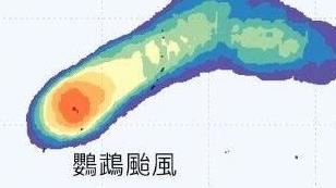 「鸚鵡」颱風最快今晚生成？預測路徑曝光