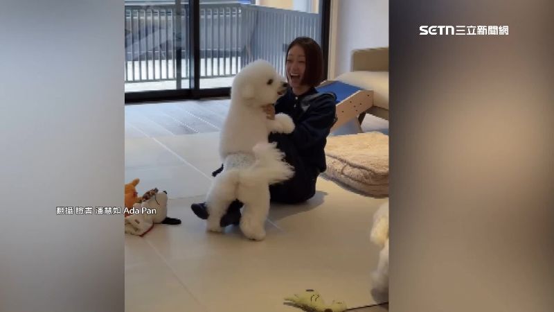 潘慧如是演藝圈知名愛犬人士。（圖／翻攝自潘慧如 Ada Pan臉書）