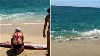 她助2條活體皇帶魚歸海　後7天無地震發生