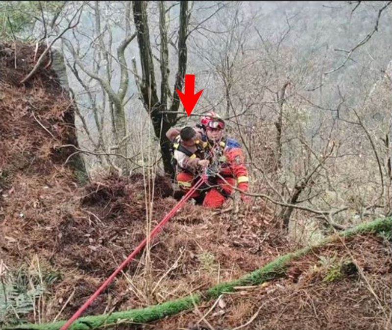 男童逗弄小猴引發母猴不滿，母猴竟然將五歲男童拖拽丟下懸崖。(圖/微博)