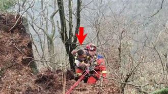 5歲童逗幼猴遭母猴拖下懸崖 命大掛樹獲救