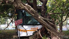 首都客運公車進入內湖三總醫院時突然失控撞進樹林。（圖／翻攝畫面）