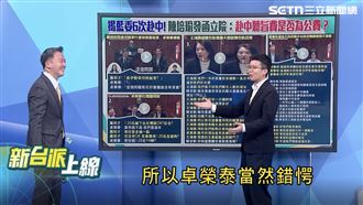 社民黨議員苗博雅於節目中，表達對藍營立委立院問政的不滿。（圖／翻攝自三立政論節目《新台派上線》）