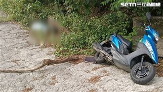 他曝屍荒野飄屍臭…死亡多時被外籍客發現